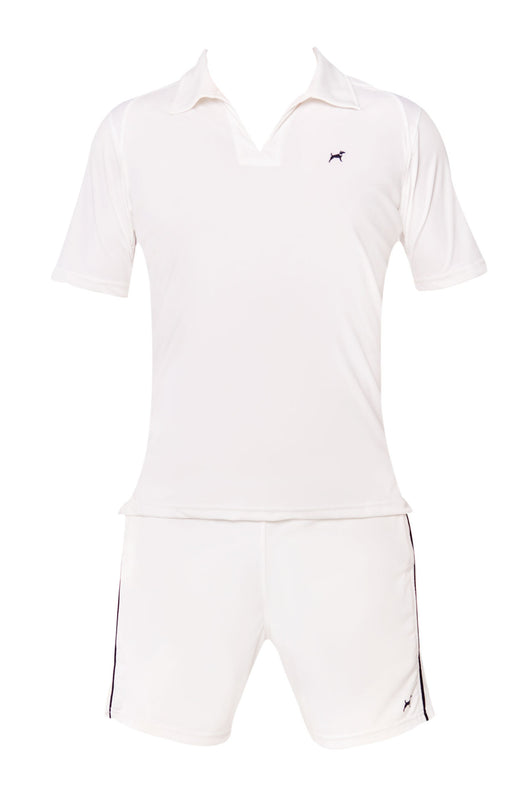 The Ambassador in White