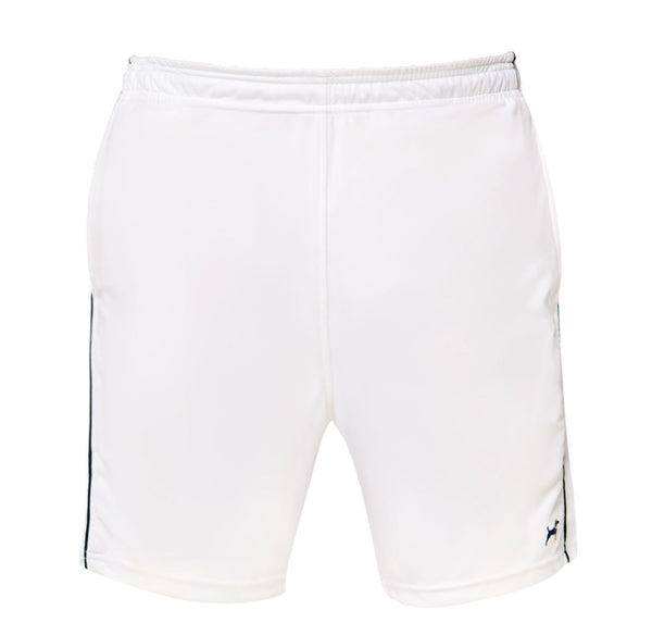 The Diplomat in White